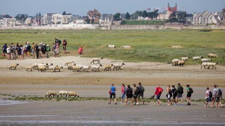 Les Arts - Cocon Romantique En Baie De Somme Boismont  Exterior photo